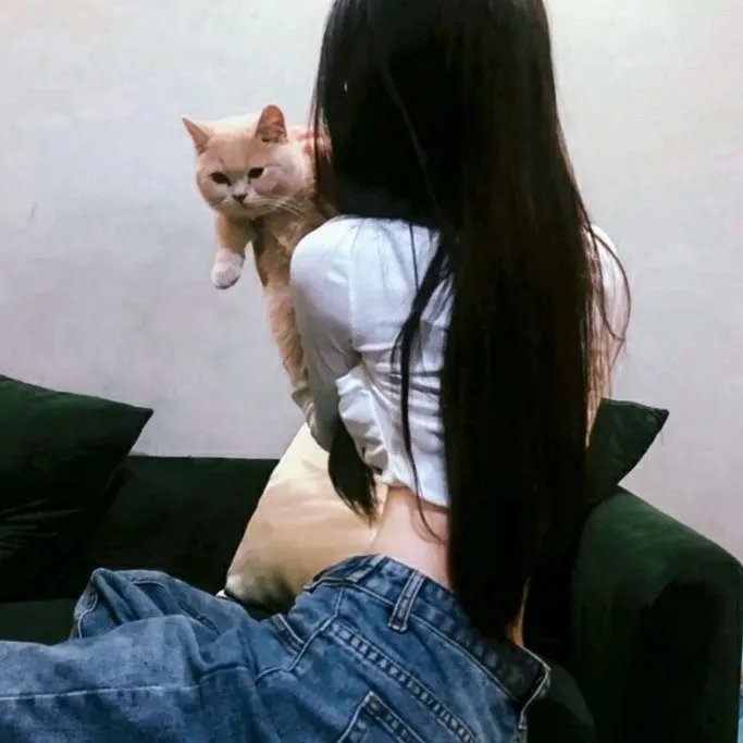 输赢